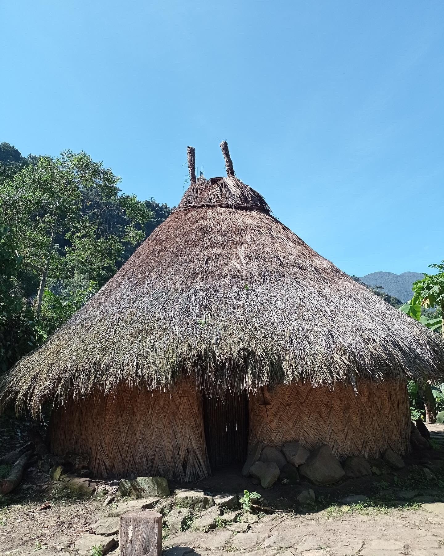 29CEB4A5-FEFA-4309-A192-951FEDF15B34