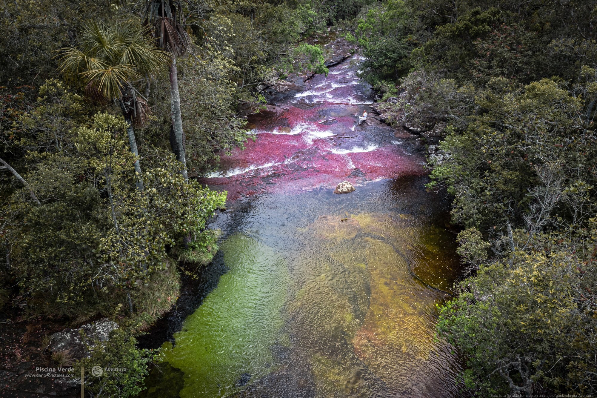 Piscina-verde-en-el-sendero-Los-Pianos-en-Cano-Cristales-1